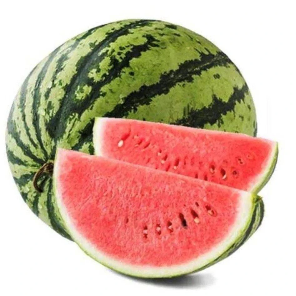 【无籽麒麟西瓜】西瓜（单颗5-7斤）仅全宁夏可拍