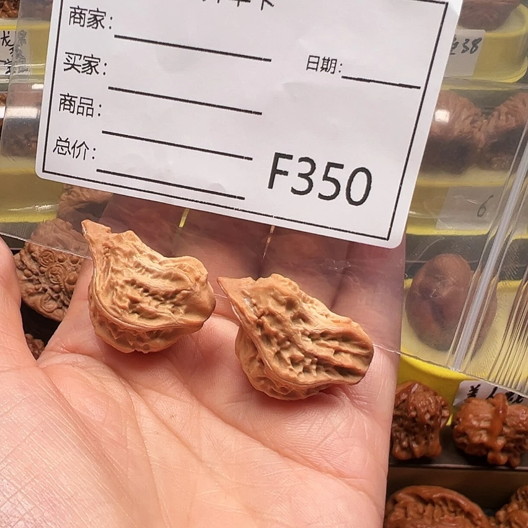 小鸟在，小鸟小鸟小鸟