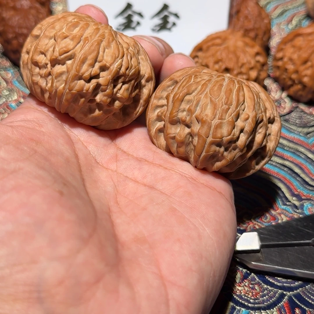 把件核桃627磨王，尺寸47