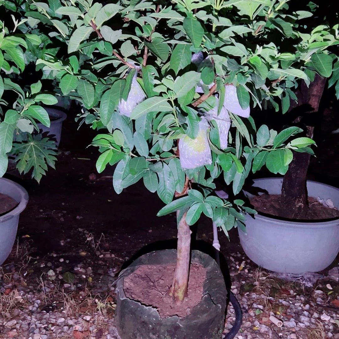 人***见完全开放11111111111111111