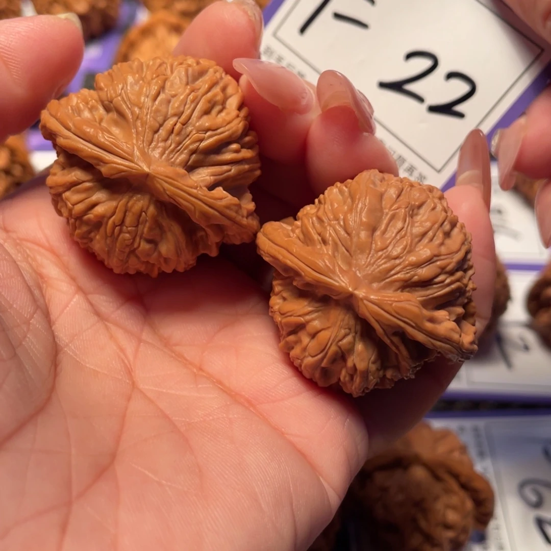 文玩核桃把件22号白狮子39