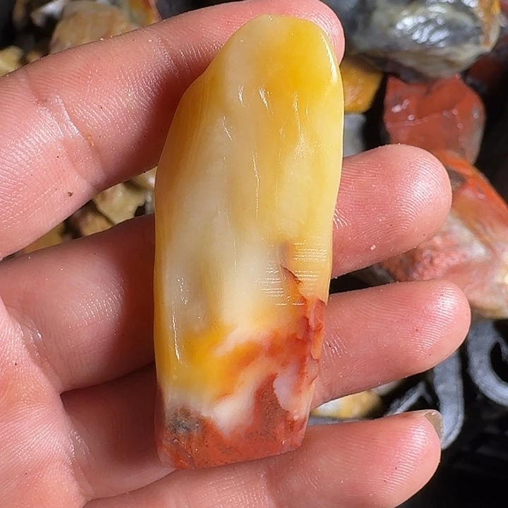 泰***哥寿山石寿山石的种类