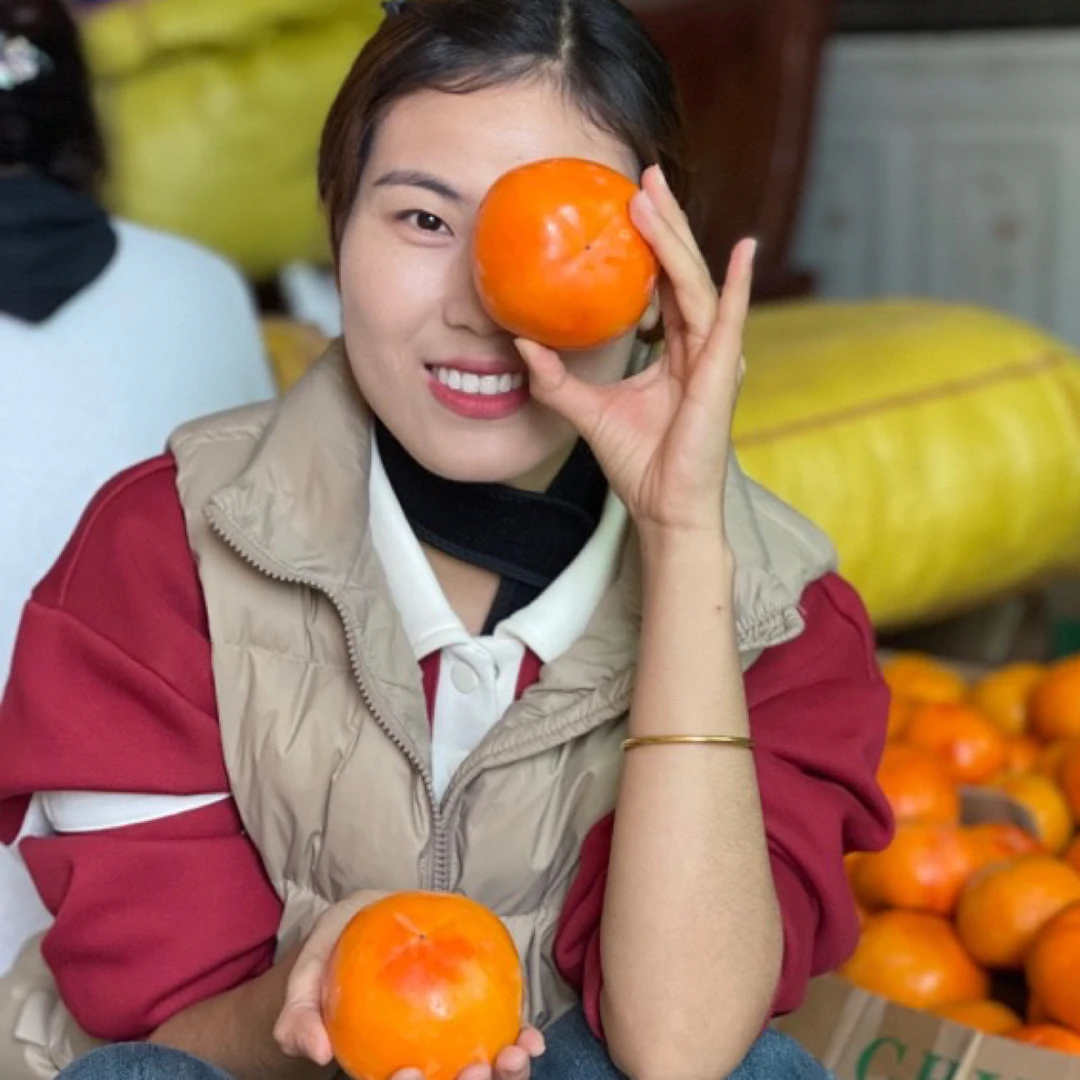 正宗陕西阳丰巧克力脆柿子冰糖心无核硬柿当季水果