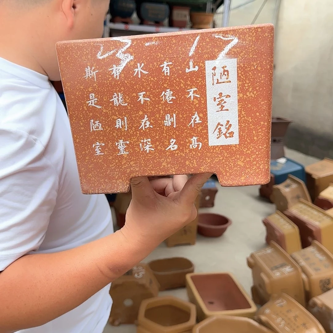 紫砂花盆这是我第一