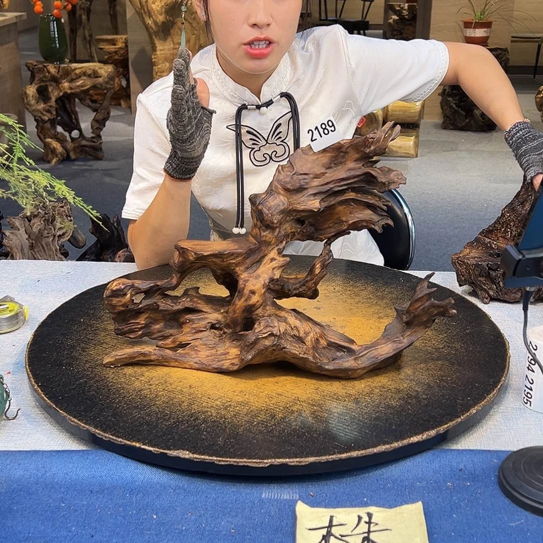 闪***花木2189wwwwwwwwwwwwwww