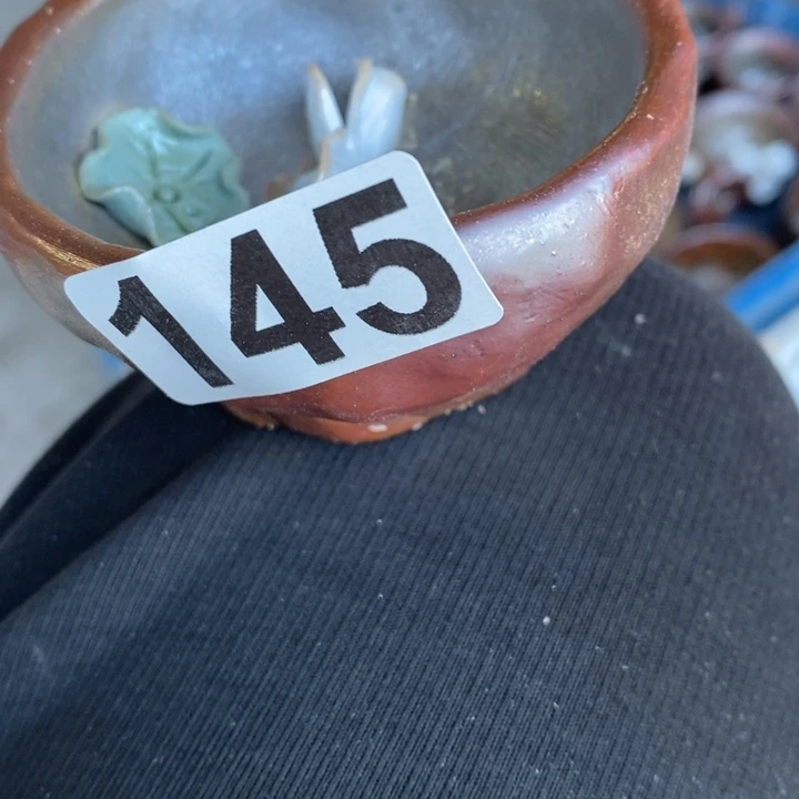 杯在一起呃呃呃真的不太