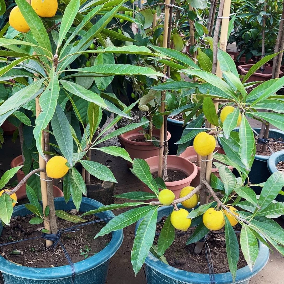 潘***生完全开放999999999999999999999988888