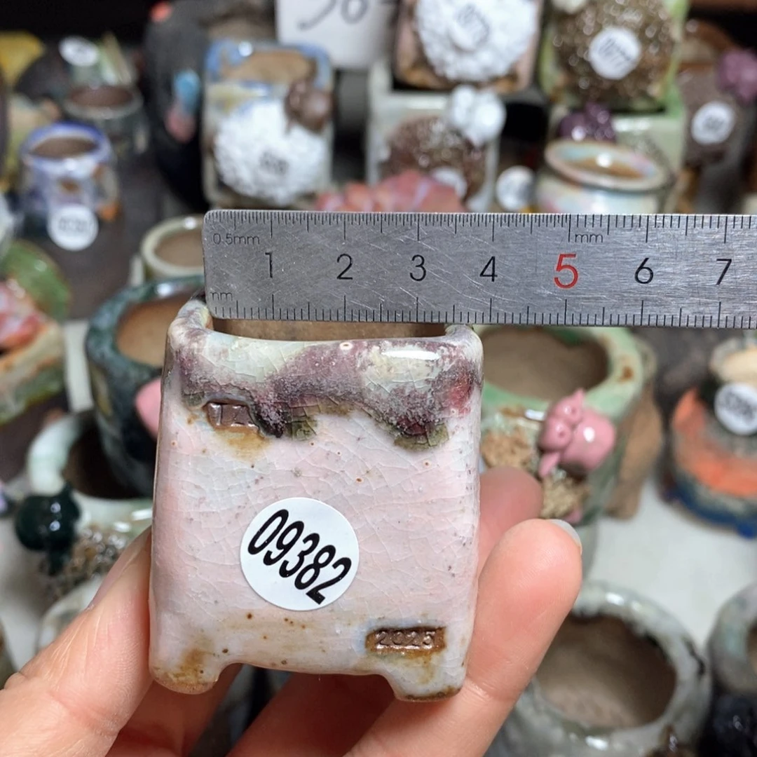 拍3送一个小礼物