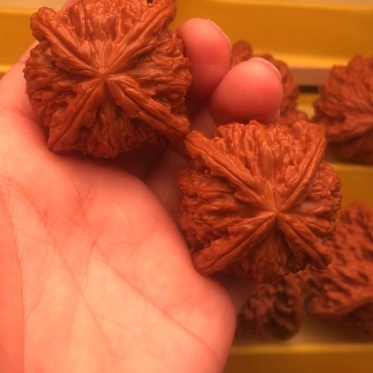 A***y核桃核桃核桃核桃核桃