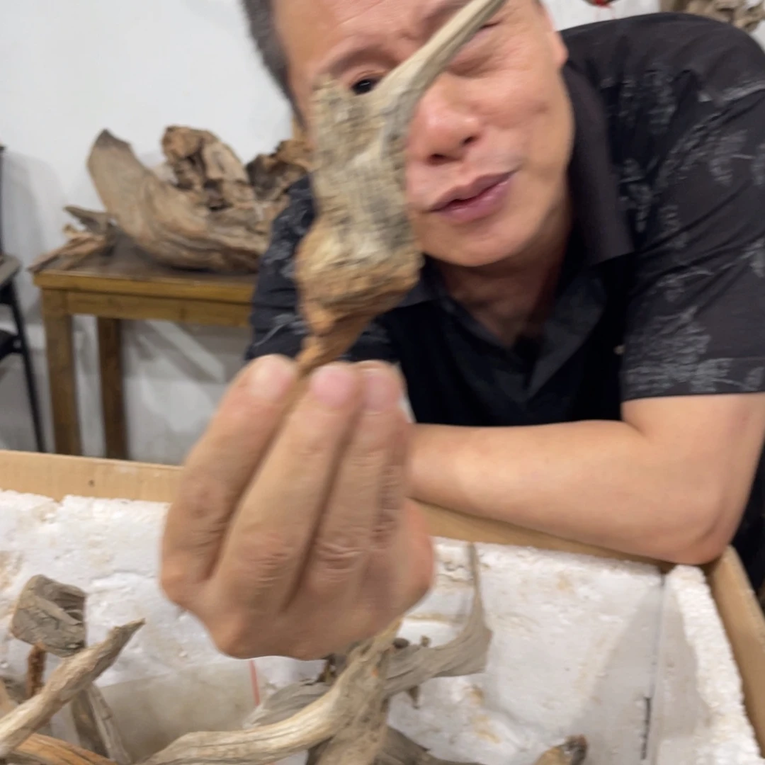 n***r我们都是好孩子呀