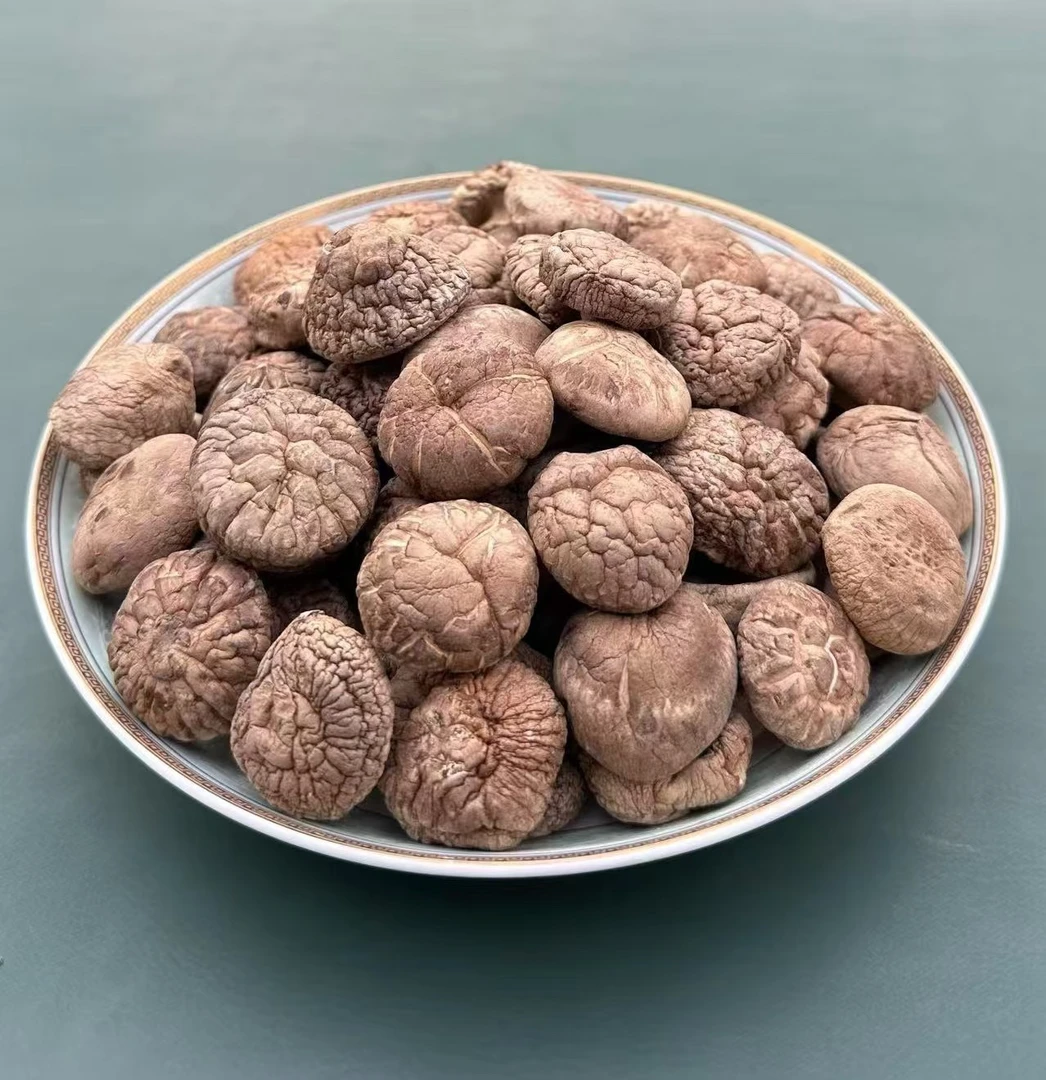 甘肃高山小香菇 金钱菇【250g】