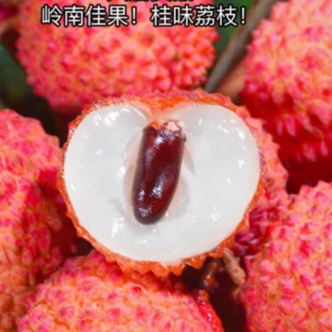 桂味荔枝鲜甜 250g一盒荔枝同城送海南省