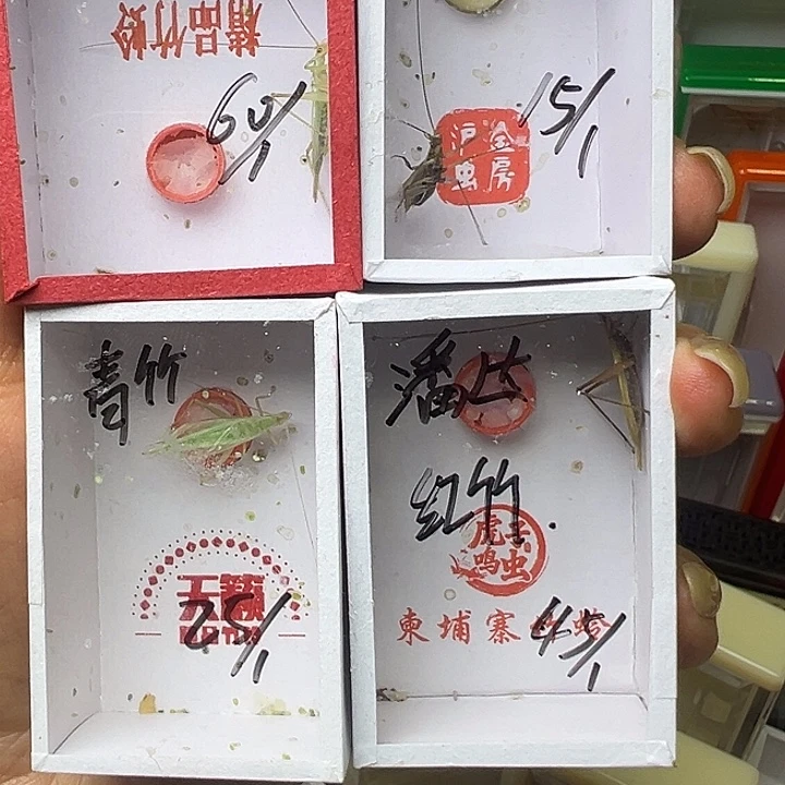 潘***达哈哈哈哈哈哈哈哈哈哈