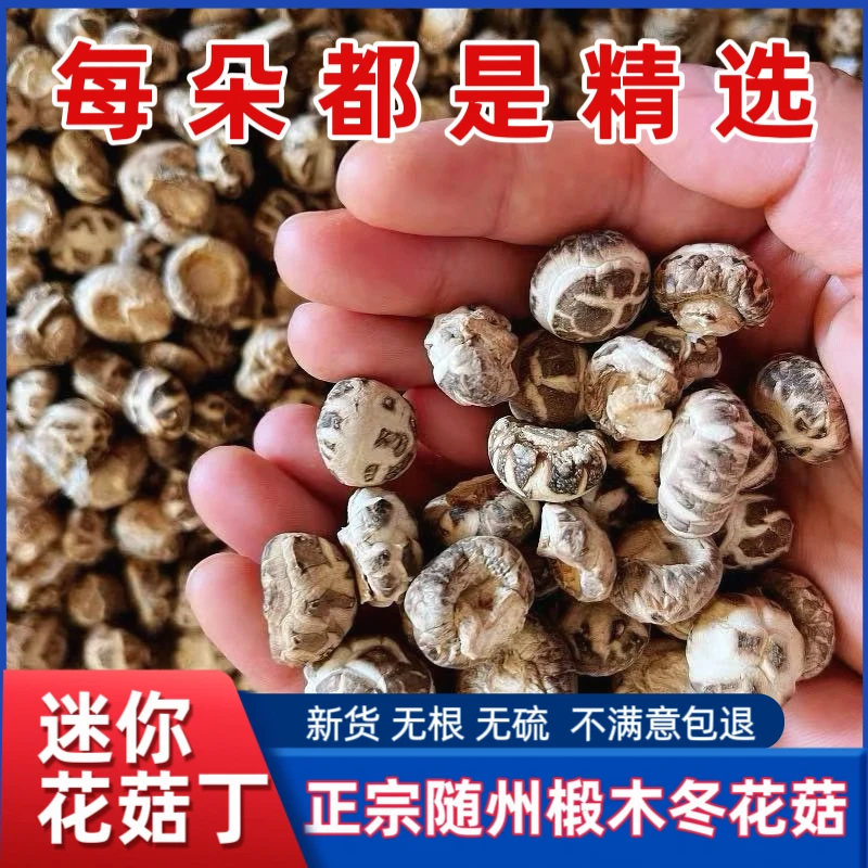 湖北随州小花菇1-2厘米嫩仔拇指菇珍珠菇小冬菇菇米菇丁干货香菇