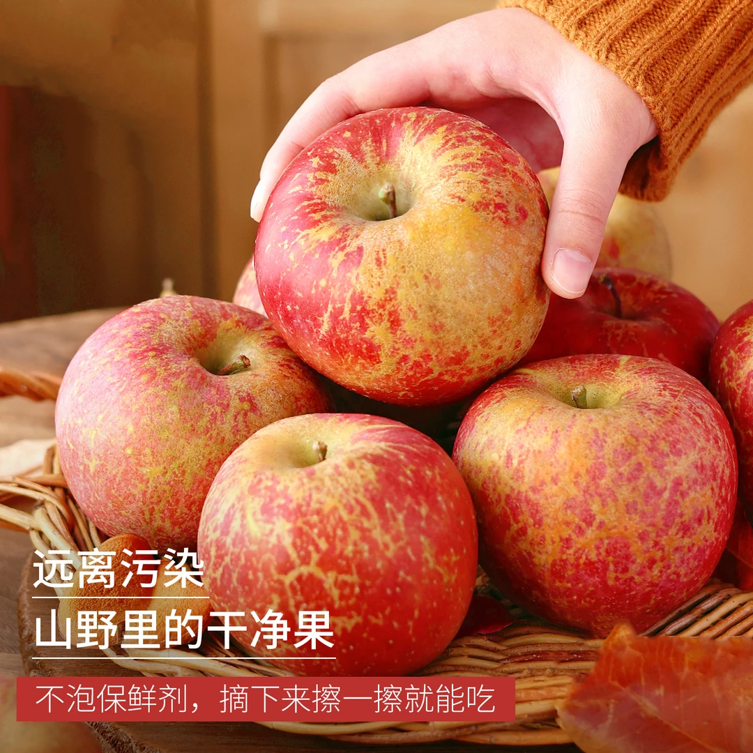 云南昭通糖心丑苹果新鲜昭通市冰糖心丑苹果9斤/5斤当季新鲜水果