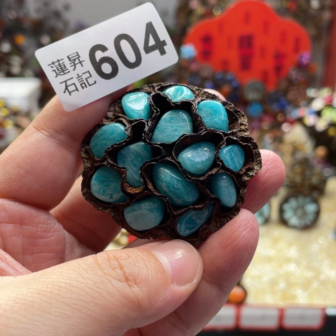 核桃木/黑胡桃（胡桃木）柚*茶604