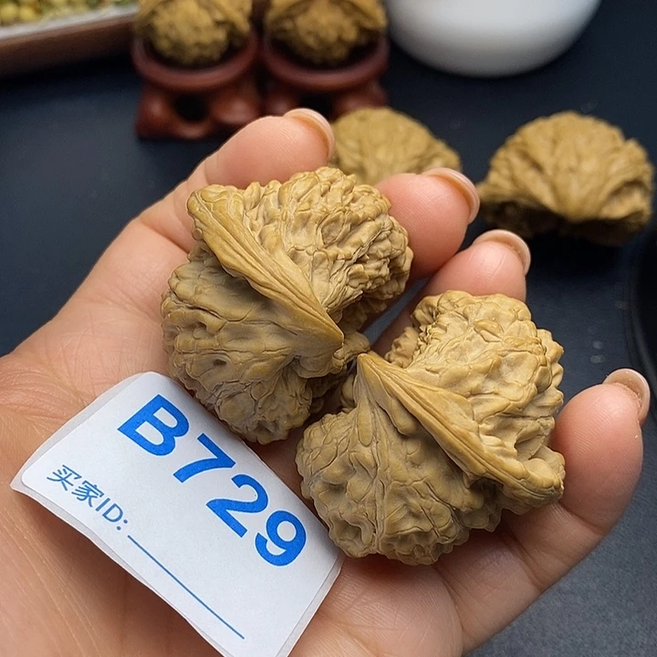 把件文玩核桃官帽鹰嘴6.8