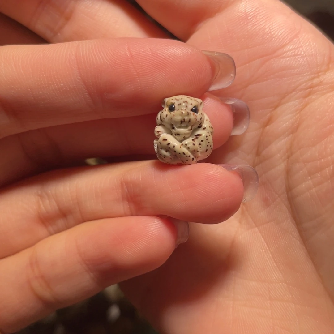 星月菩提吊坠雪豹单颗原生态