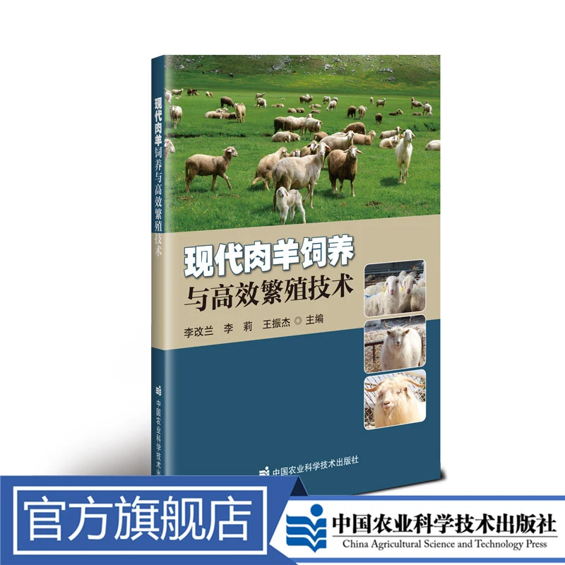 正版包邮现代肉羊饲养与高效繁殖技术李改兰肉羊养殖