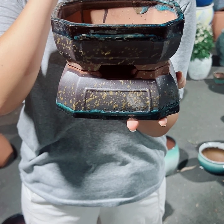 花盆花盆啦啦啦啦