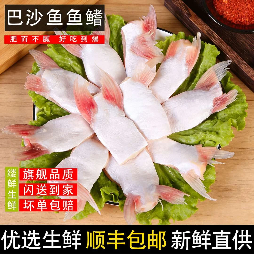 顺丰包邮新鲜巴沙鱼鳍鱼肉鱼刺翅鱼翅鱼肥油下巴鱼肚鲜嫩500克
