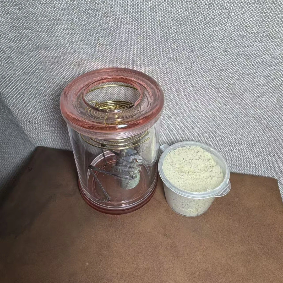 铁皮蝈蝈＋基础压叫罐＋饲料（顺丰包邮 偏远地区不包）