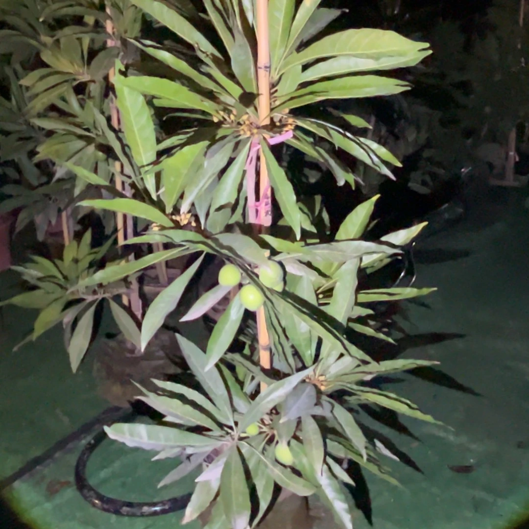 人***途无花朵23232323232323