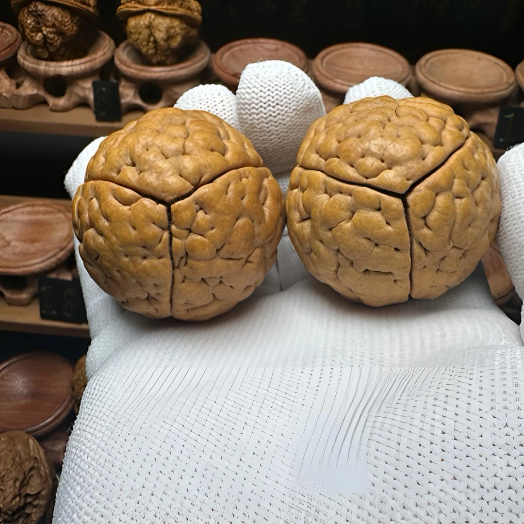 印尼脑纹大金刚核