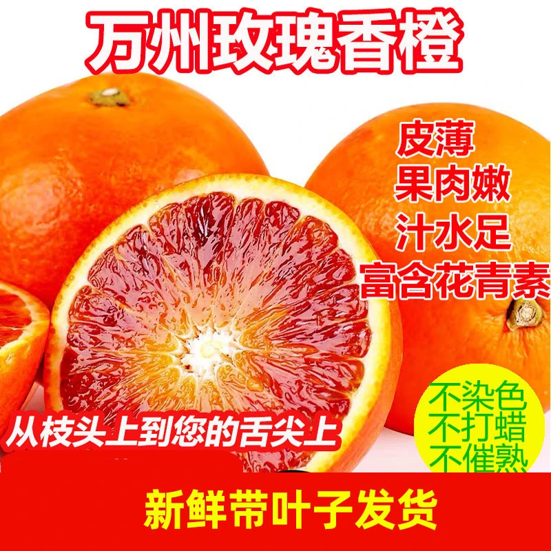 （十斤小果）万州豪田玫瑰香橙塔罗科血橙产地直发老少皆宜