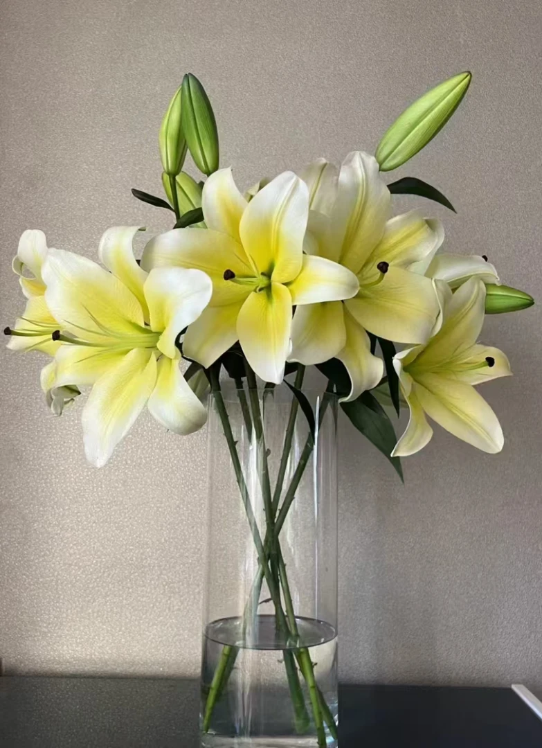 【直播专享】云南鲜花香水百合专场空运包邮（每单送营养液一袋）