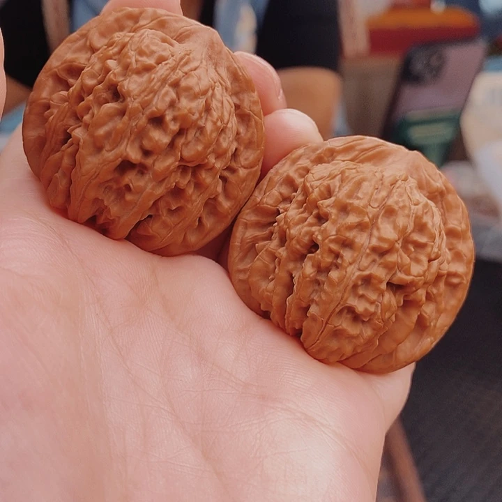 核桃41尺汉高楼核桃