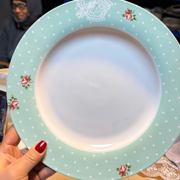骨瓷10.5寸绿波点西餐盘微瑕