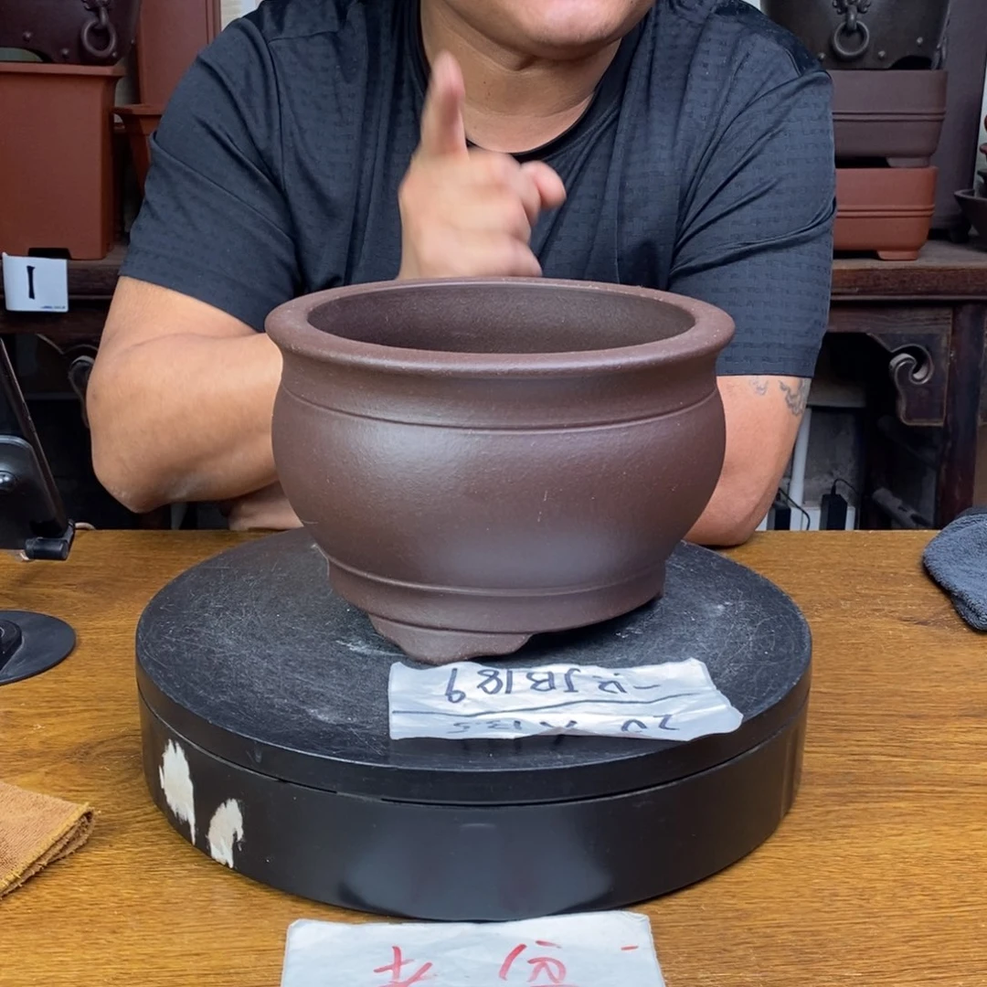 紫砂货号一只JB189