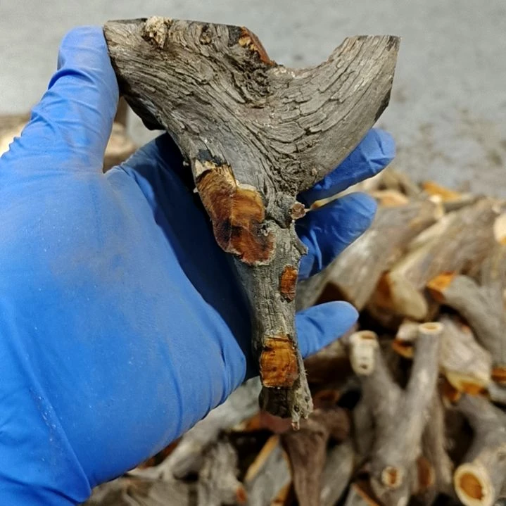 慕***·香榧木崖柏随行毛料毛料毛料