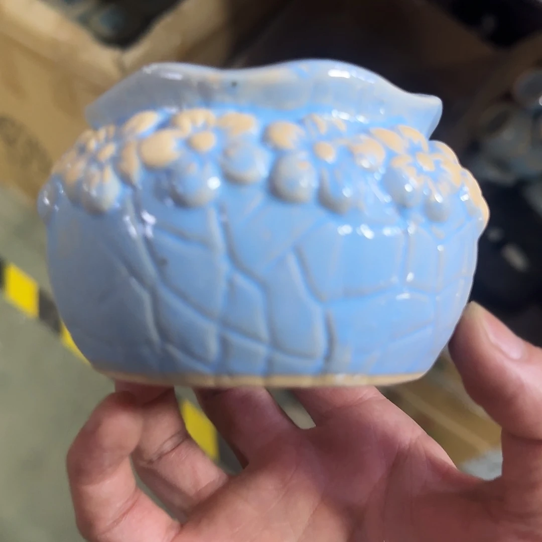 福利局绿植多肉盆［凑9元包邮24小时发］