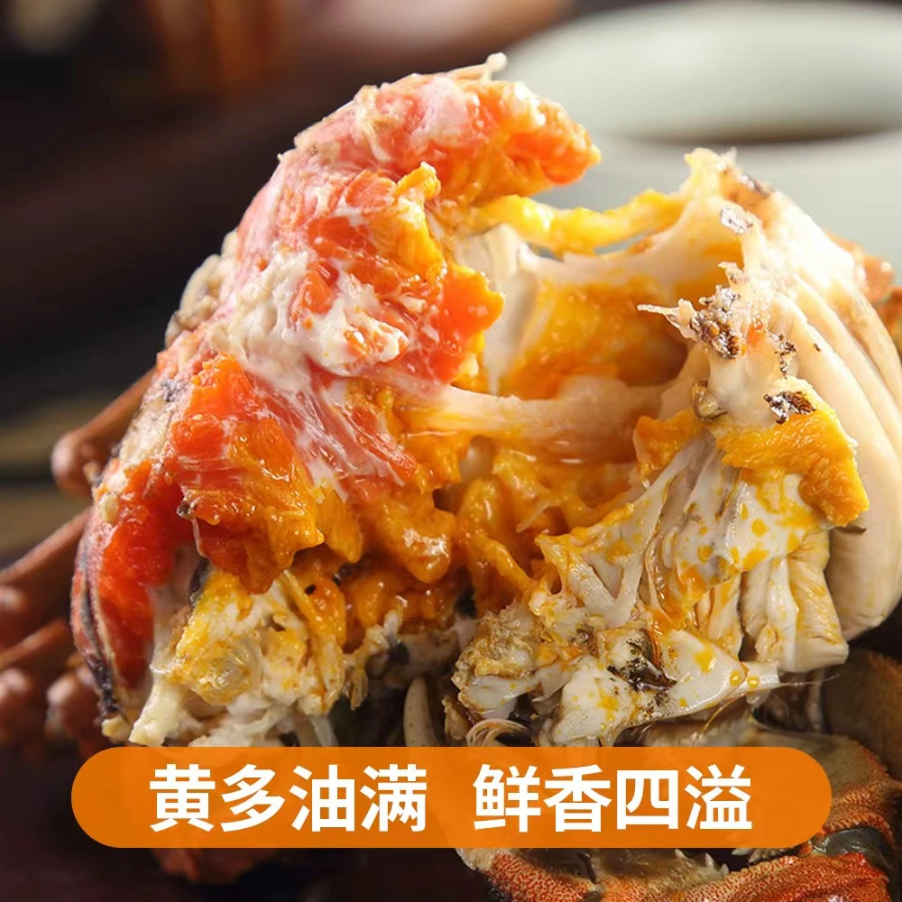活蟹全母蟹3.-3.5两8只送两只10只顺丰冷链