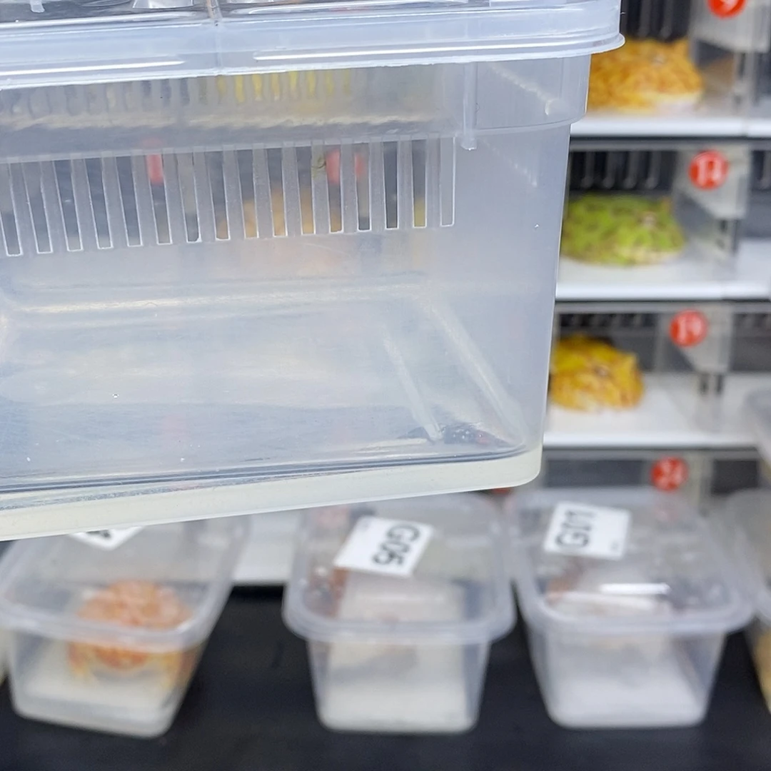 角蛙发顺丰的邮费