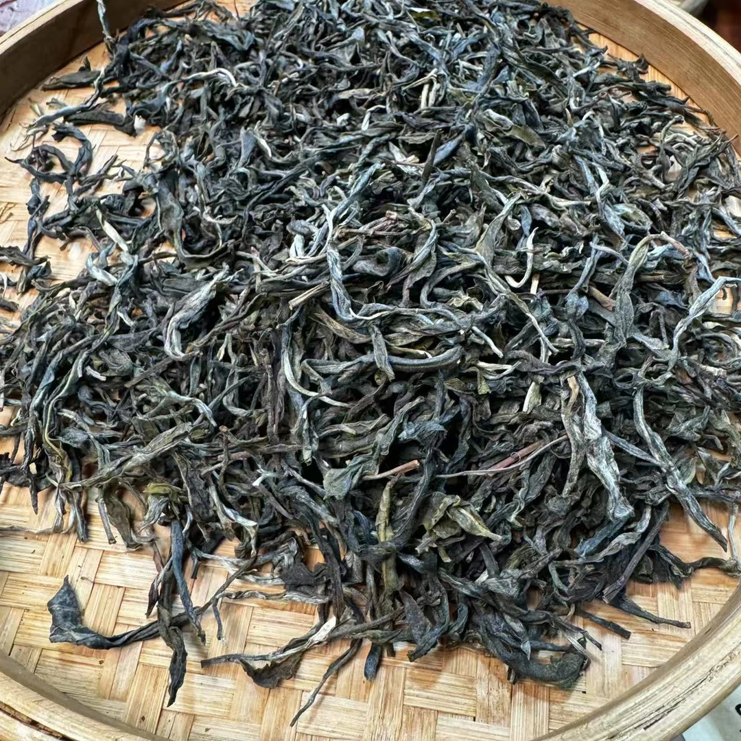 【小刚家的茶】5-25【LC276】2024年小户赛大树 散生（晒青毛茶）