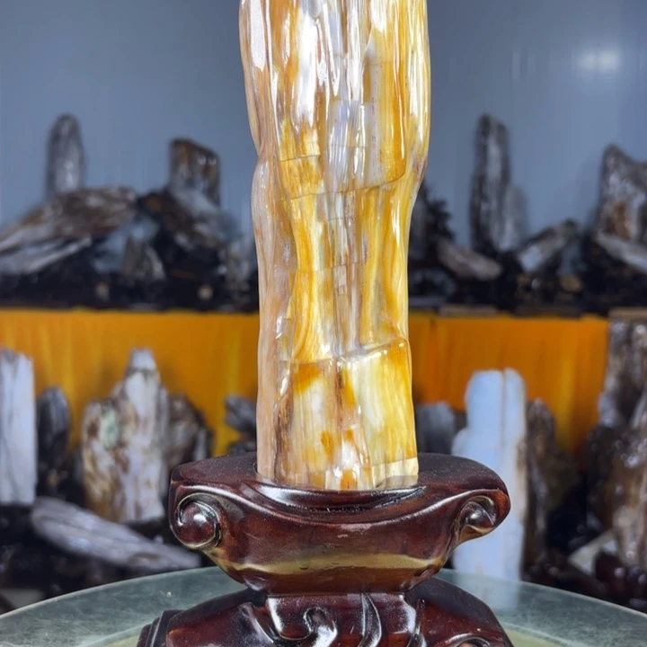 用***5硅化玉未镶嵌珠宝奇石