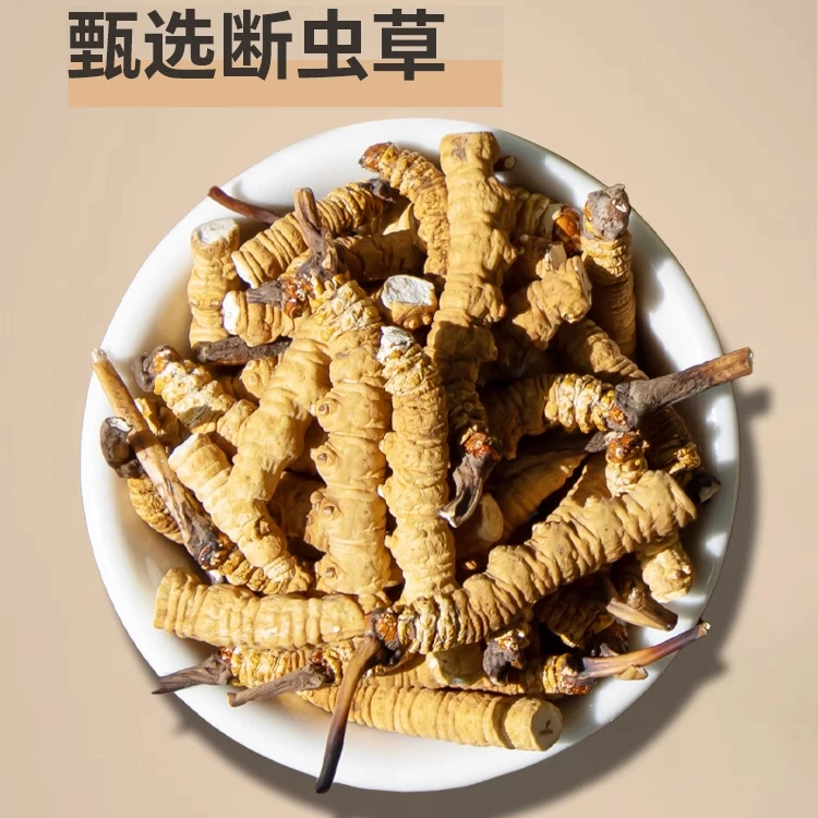 YHX/甄选大断草头茬冬虫夏草正品足干送人送礼装泡酒煲汤自吃自用