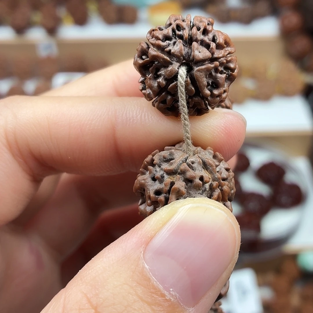 手串金刚菩提精品梅花