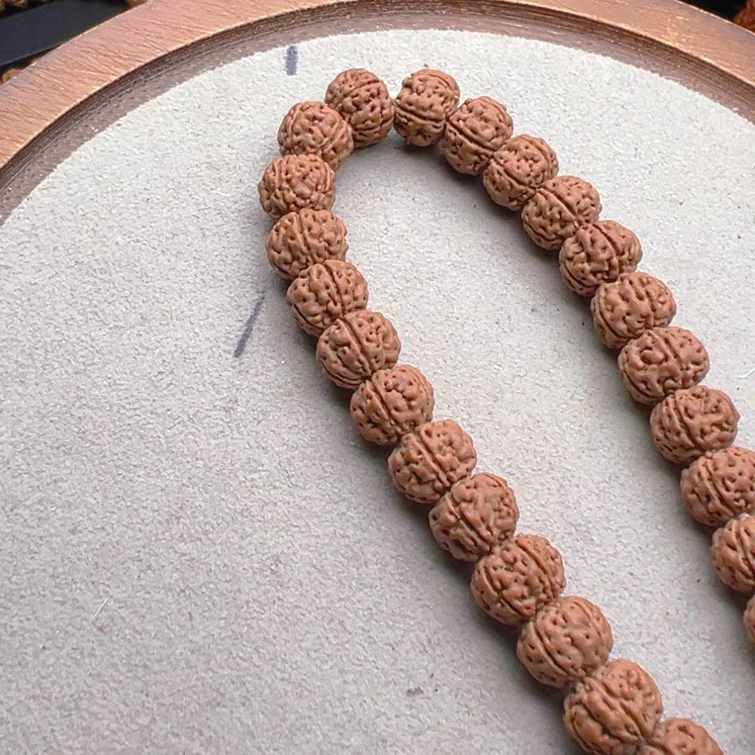 菩提根/象牙果手串