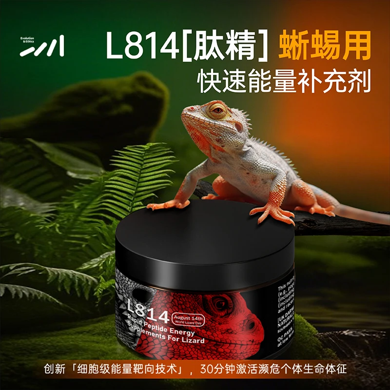 物种进化蜥蜴爬宠益生菌快速能量补充剂睫角守宫促进肠道吸收