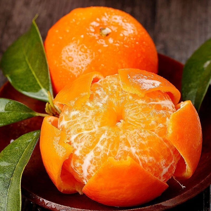 【本地精选沃柑】应季水果皮薄肉厚非云南橘子新鲜桔子果园整箱直发