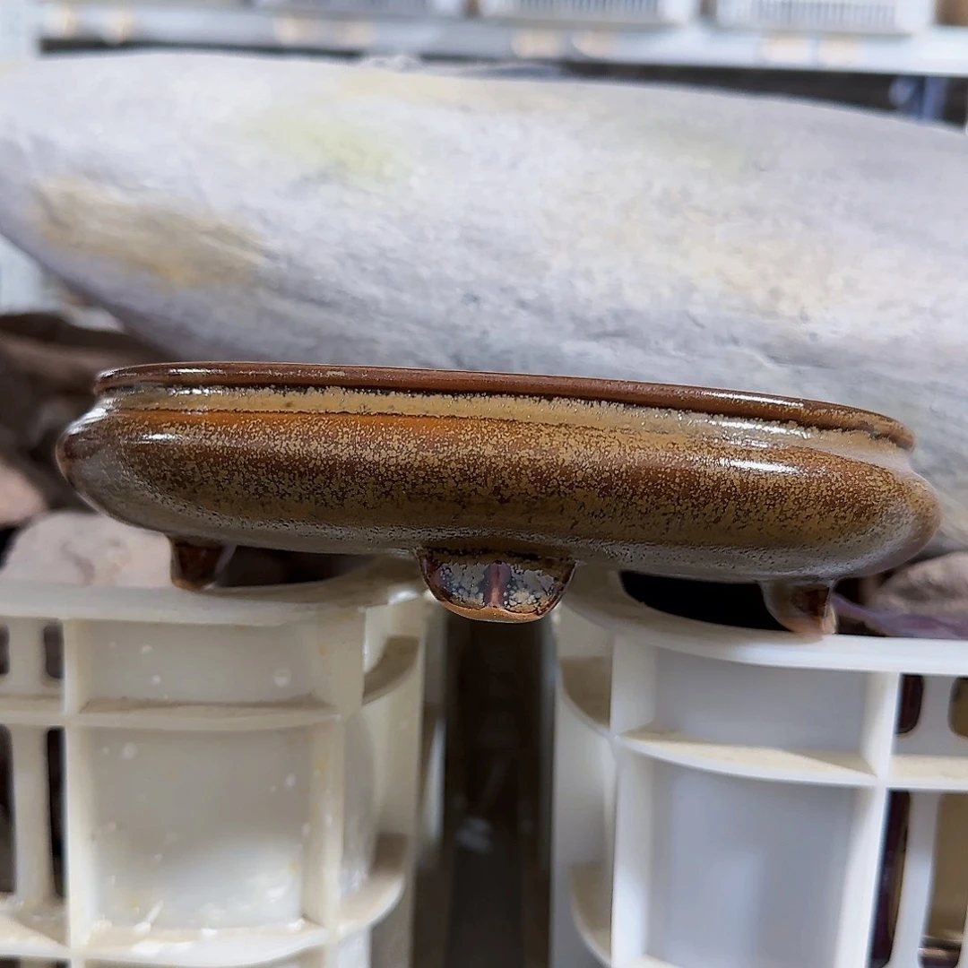 陶瓷花盆特价上新