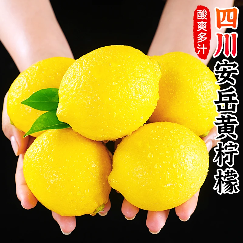 【酸爽多汁】四川安岳黄柠檬2-10个鲜果新鲜水果皮薄可榨汁泡茶维C