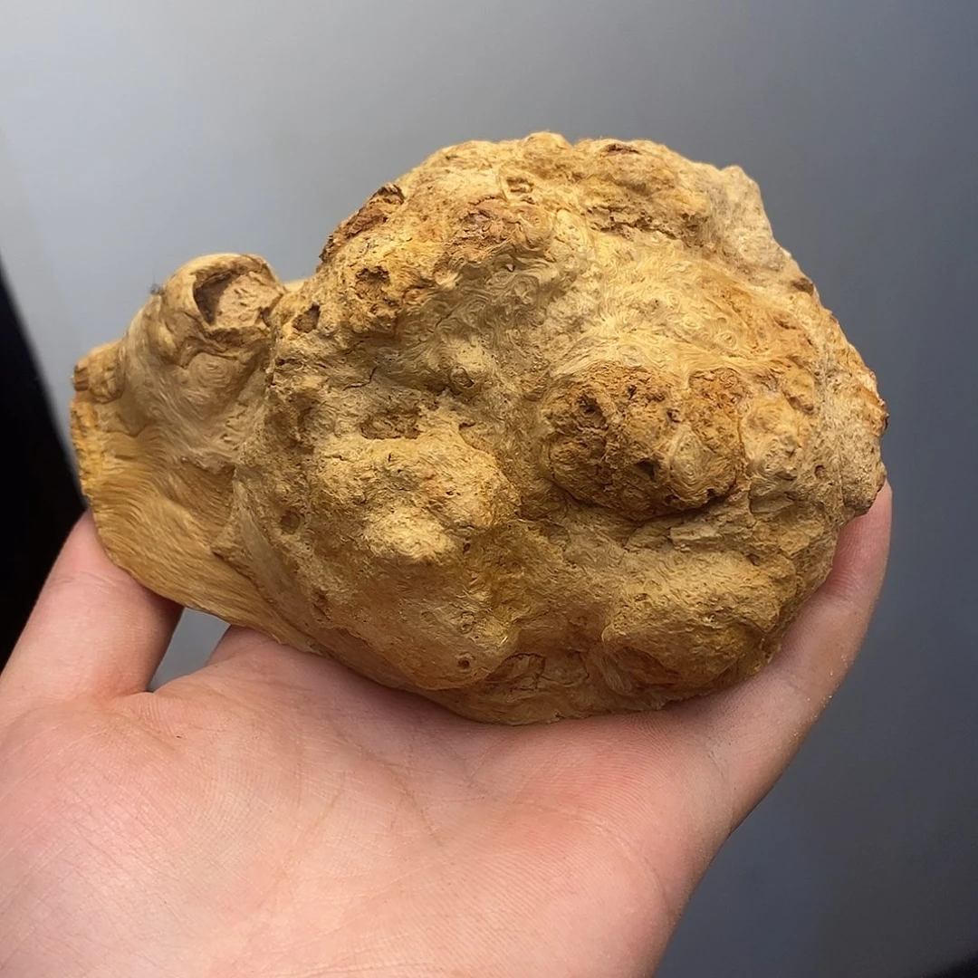 新***业荔枝木荔枝木原料
