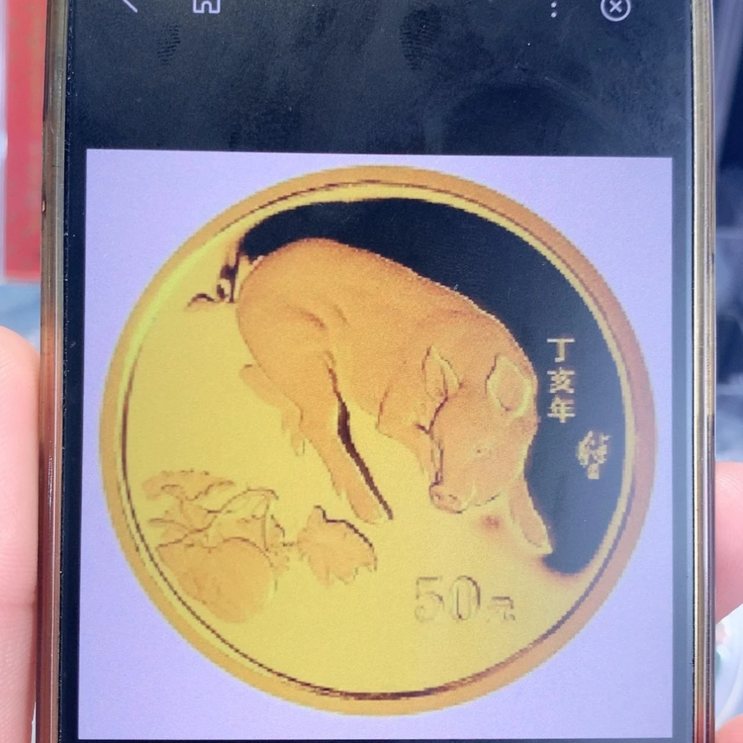 纯金海*2007年本金币裸币带证