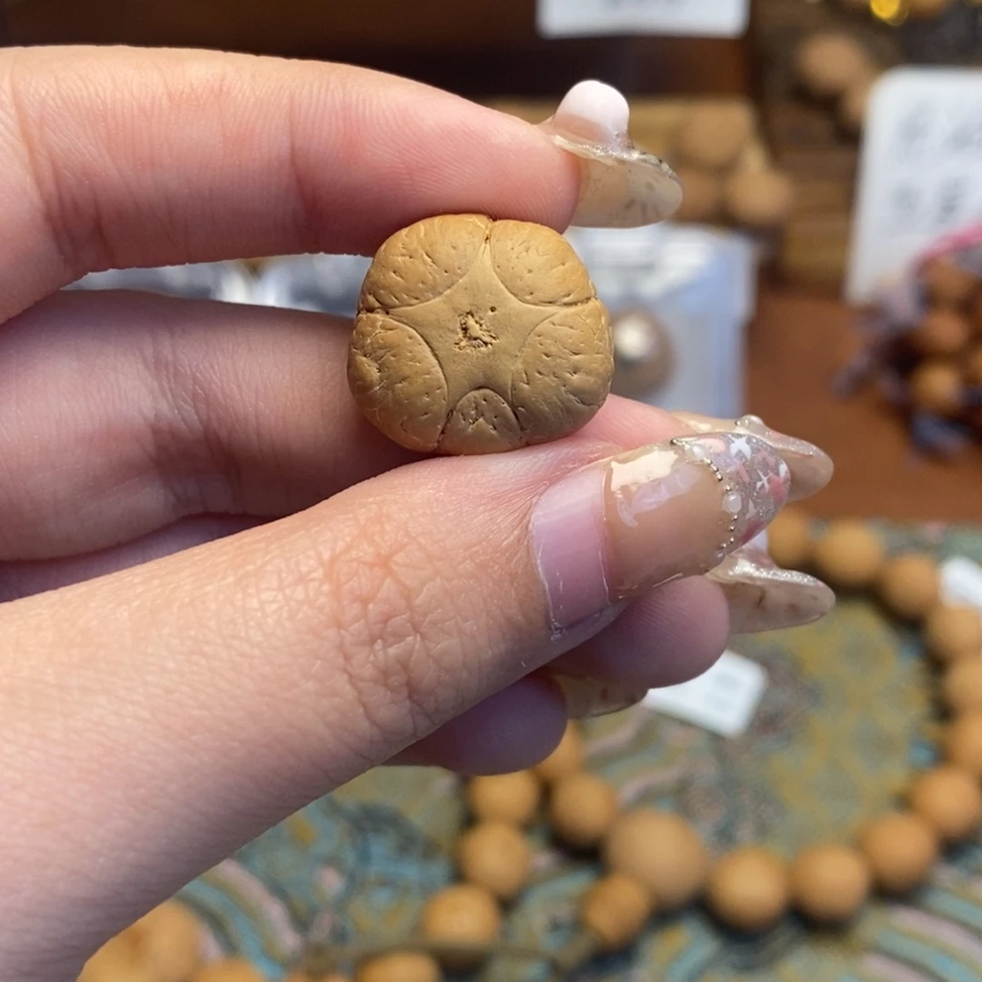 吊坠凤眼菩提五星