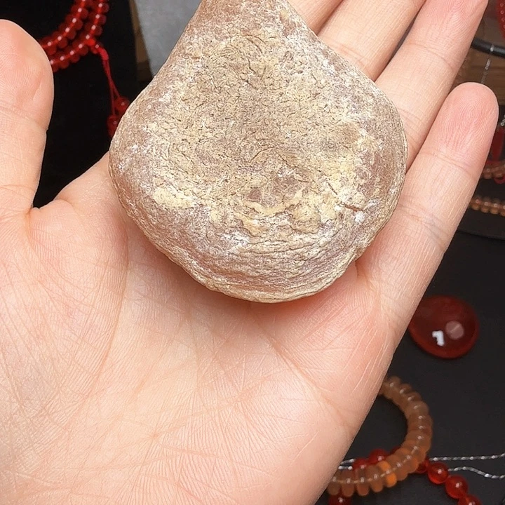 青鱼石李*青鱼石青鱼石